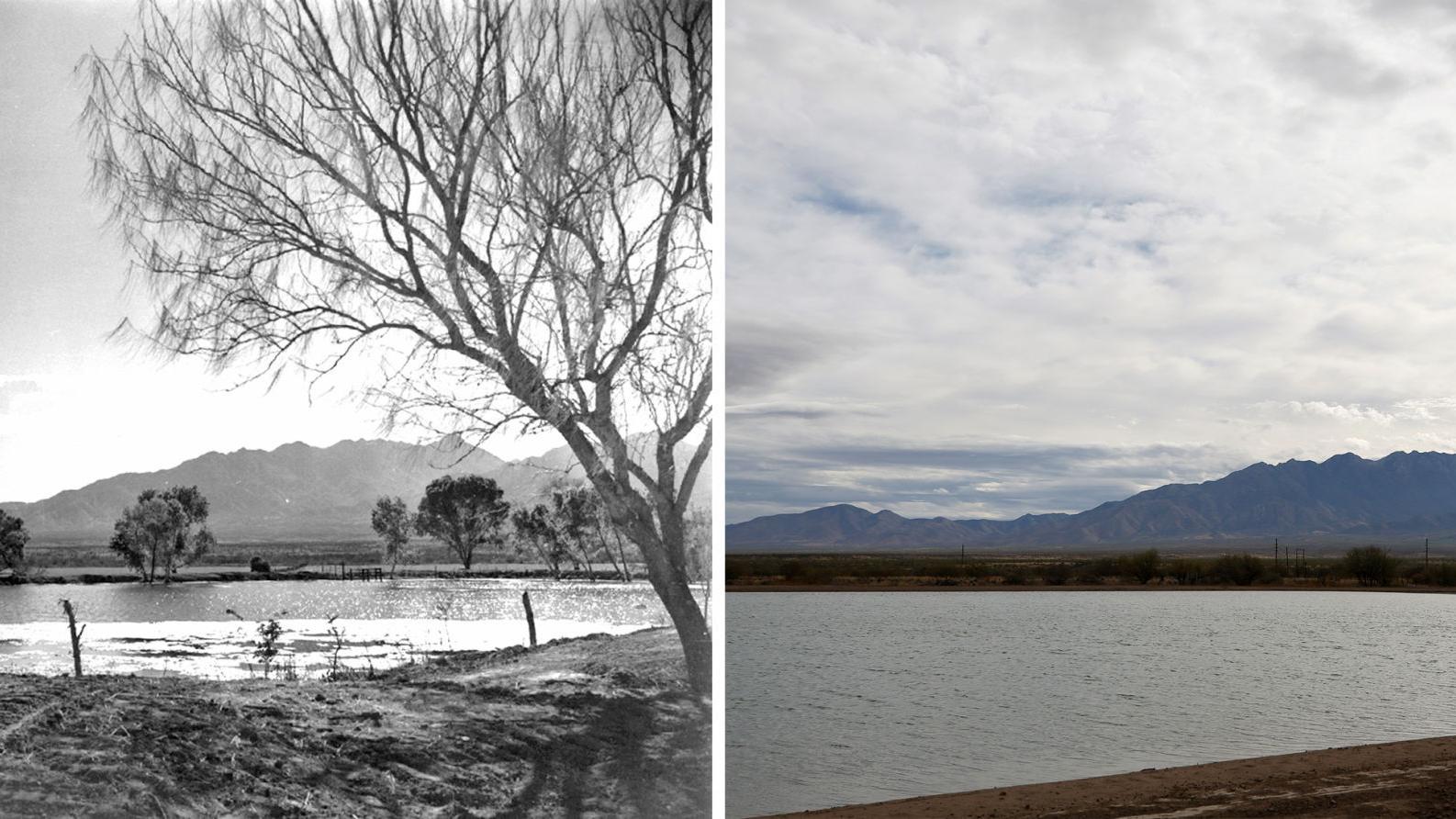 Ninety years of riparian history to be restored at Canoa Lake